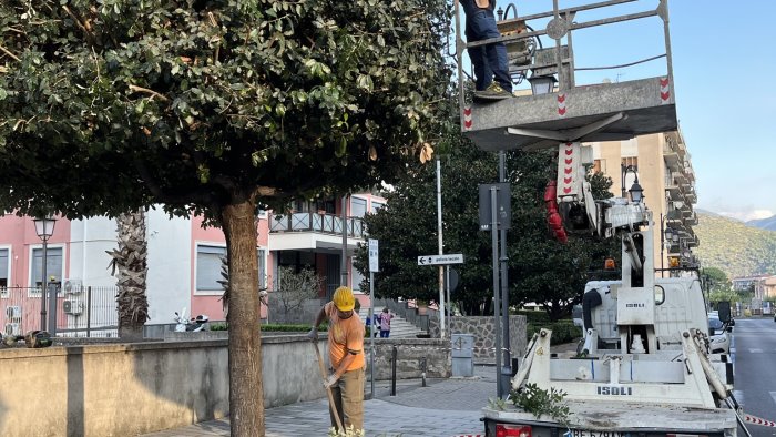 nocera superiore decoro urbano cuofano vara il piano potature e cura del verde