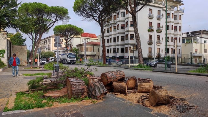 pini il comitato rosa offensivo e incapace di confronto costruttivo