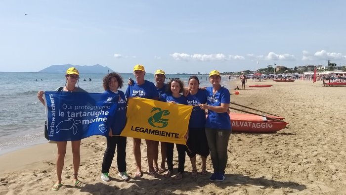 mamma tartaruga ama i lidi del sud italia la campane tra le mete preferite