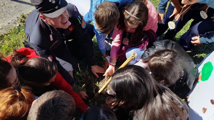 attenzione all ambiente a caggiano gli studenti piantano 16 nuovi alberi