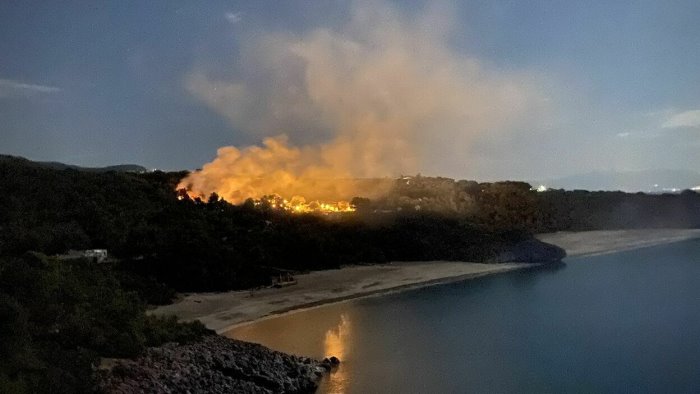 incendio boschivo a camerota denunciato il responsabile e un 73enne del posto