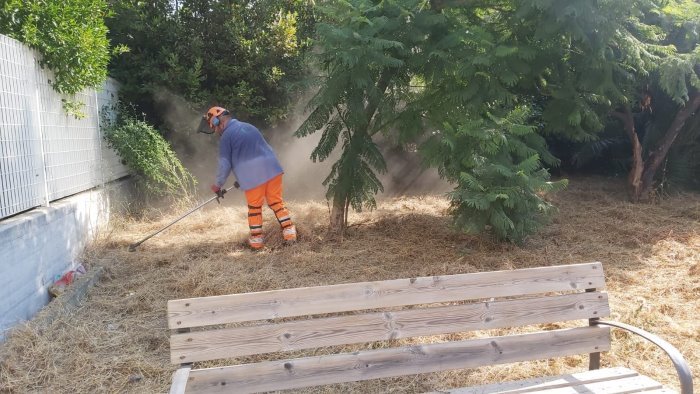 manutenzione del verde pubblico a salerno incontro al comune con i vertici isam