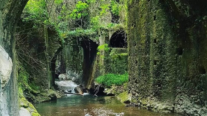 ad amalfi bambini e nonni insieme per l iniziativa ecologica puliamo il mondo