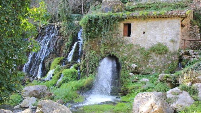 forest bathing nel cilento a morigerati una giornata nella natura