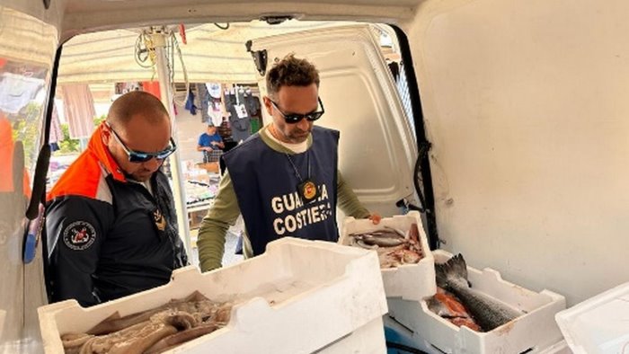 blitz al mercato di falciano sequestrato pesce di dubbia provenienza