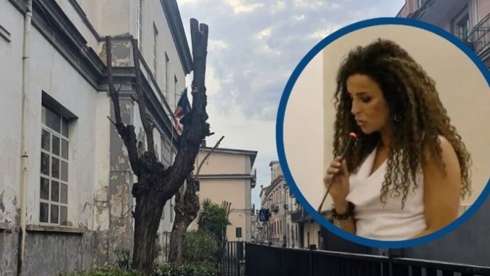 capitozzatura alberi comune di marcianise sotto accusa viola il regolamento