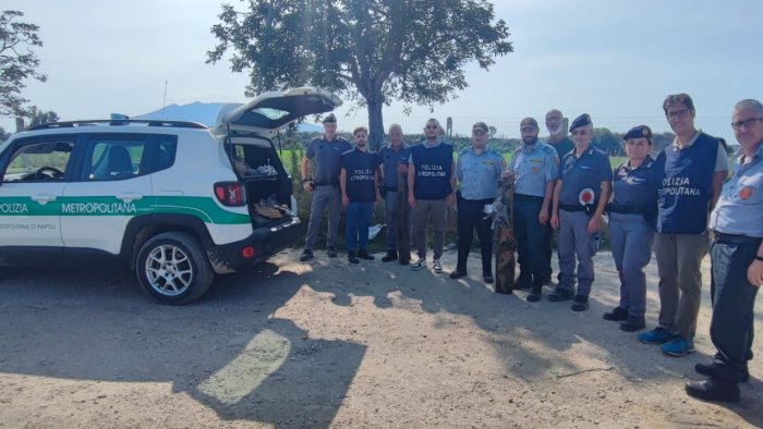 task force antibracconaggio sequestrati fucili e munizioni ai cacciatori