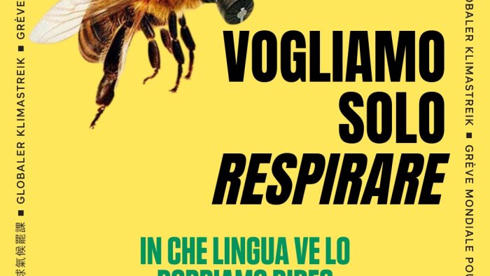 emergenza polveri sottili ad avellino venerdi sit in sotto la prefettura