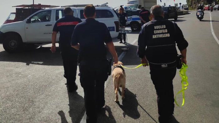 gatti e cuccioli morti a positano sospetto avvelenamento sporta denuncia