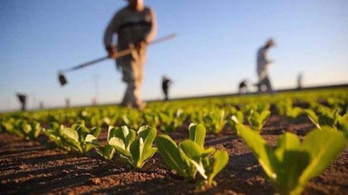 rischi climatici coldiretti ancora poche le aziende assicurate