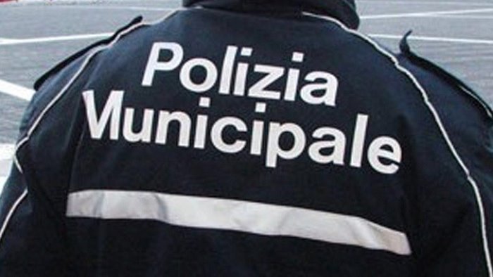 commemorazione defunti e festa forze armate il piano della municipale