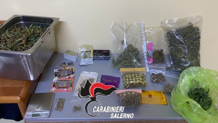 coltivava droga e nascondeva munizioni in casa arrestato 29enne a baronissi