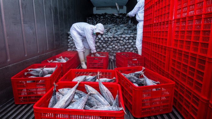 tir dalla grecia carico di pesce fresco avariato bloccato ad avellino