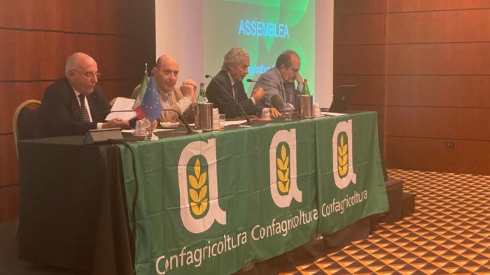 confagricoltura campania fabrizio marzano rieletto presidente