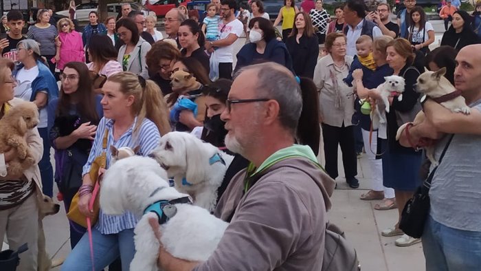 sul sagrato di san ciro la benedizione degli animali ogni giorno donano amore