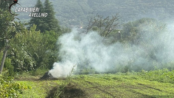 incendio boschivo danneggiata la linea telefonica a chiusano san domenico