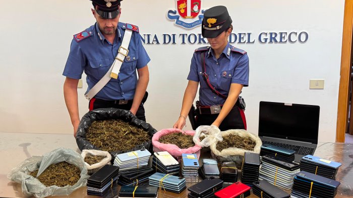 chili di marijuana 181 telefoni ricettati e una fattoria con animali protetti