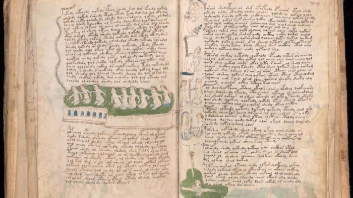 il mistero del manoscritto voynich il libro che non si lascia leggere