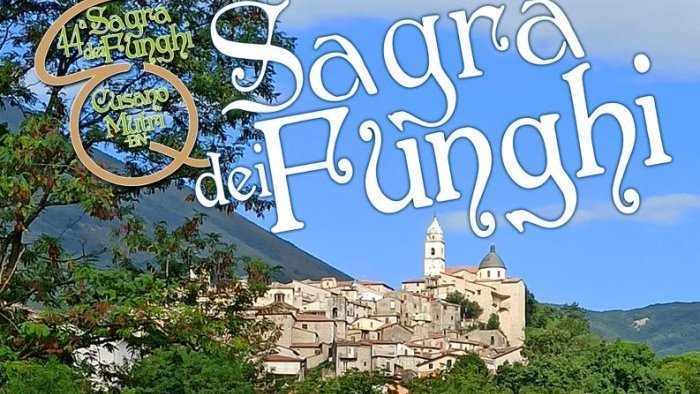 sagra dei funghi ultimo week end per un evento dai numeri straordinari