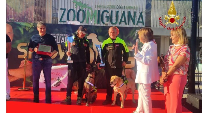 salvarono vite nel crollo di saviano premio al vigile del fuoco e al suo cane