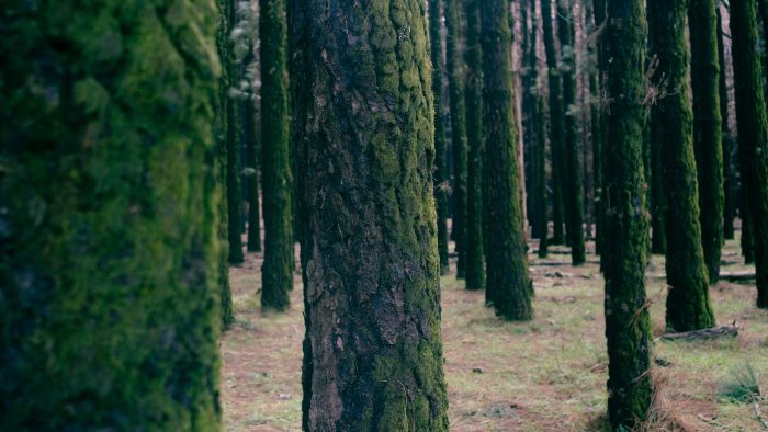 giovani portavoce dell ambiente evento per il futuro sostenibile di benevento