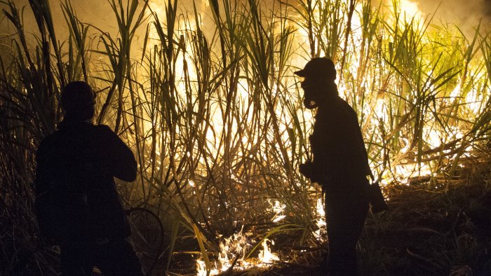 roghi agricoli consentiti una volta a settimana l ordinanza del sindaco nargi