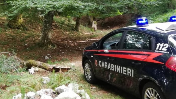 incidente in montagna a serino 86enne va in cerca di funghi ma cade e muore