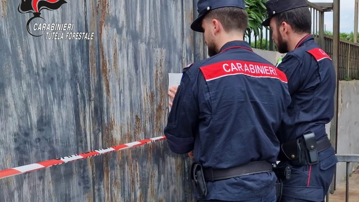 gestione e combustione illecita di rifiuti i carabinieri denunciano un 54enne