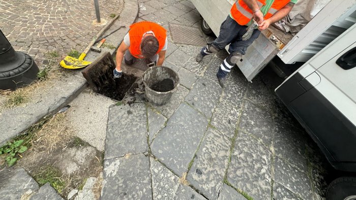 avellino decoro urbano interventi sulle caditoie e verde pubblico