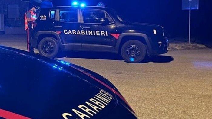 sorpresi a rubare in un castagneto i carabinieri arrestano tre giovani