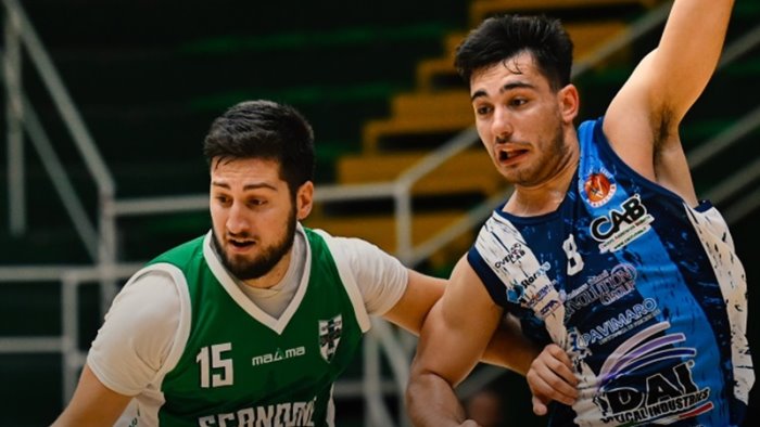 scandone avellino ko al paladelmauro la virtus molfetta vince 61 62