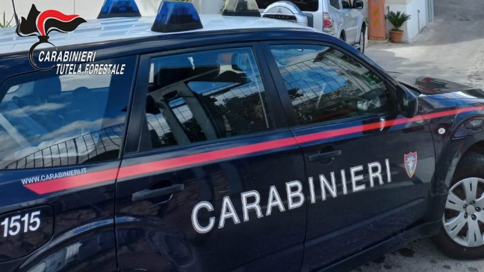 blitz a solofra i carabinieri forestali sequestrano una conceria