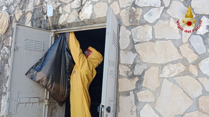 favo di calabroni nella cabina enel il delicato intervento dei vigili del fuoco