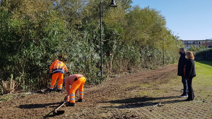 agropoli a breve sara inaugurata un area sgambamento per cani