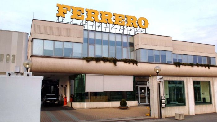 raccolta nocciole ferrero con ilo contro il lavoro minorile