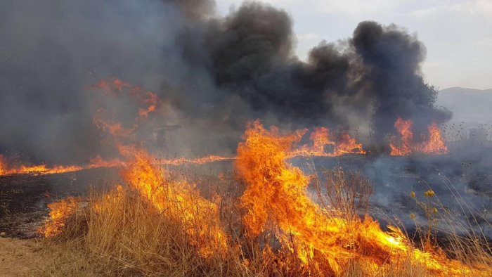 incendi legambiente norme per impedire roghi in sicilia