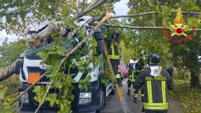 travolto da albero abbattuto boscaiolo muore in alto adige