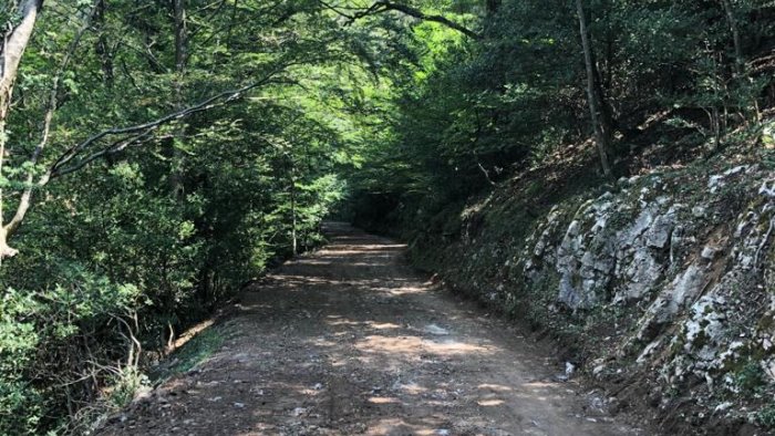 messa in sicurezza e manutenzione su strada vassi