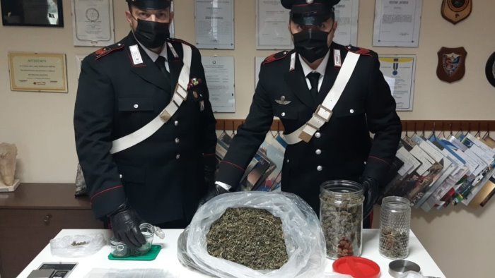 uso personale hashish del papa marijuana del figlio ma restano ai domiciliari