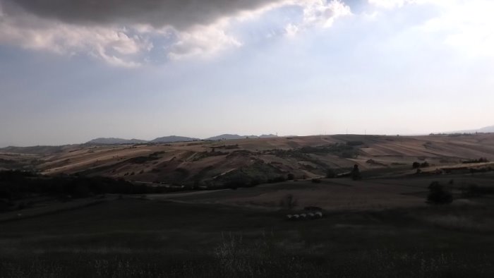 carenza di veterinari asl in irpinia territorio ad alto rischio