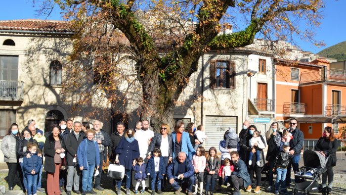 padula la giornata dell albero all insegna della sostenibilita