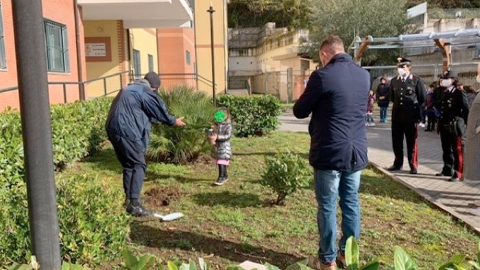 giornata dell albero piantati alberelli nelle scuole salernitane