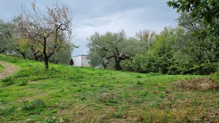 ariano autoarticolato tradito dal navigatore resta bloccato in un campo