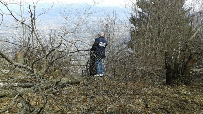 riforestazione del monte faito la citta metropolitana finanzia il progetto