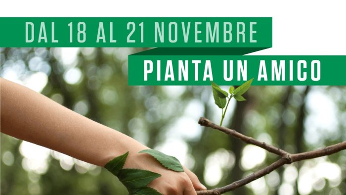 festa dell albero un weekend green con legambiente e nuove piantumazioni