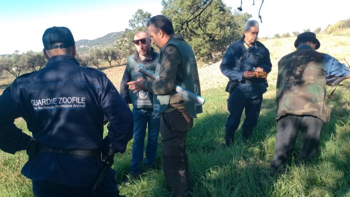 caccia cercatori di funghi e benessere animale i controlli nel salernitano