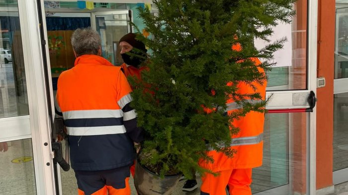 tutela e valorizzazione dell ambiente piantati nuovi alberi ad ariano