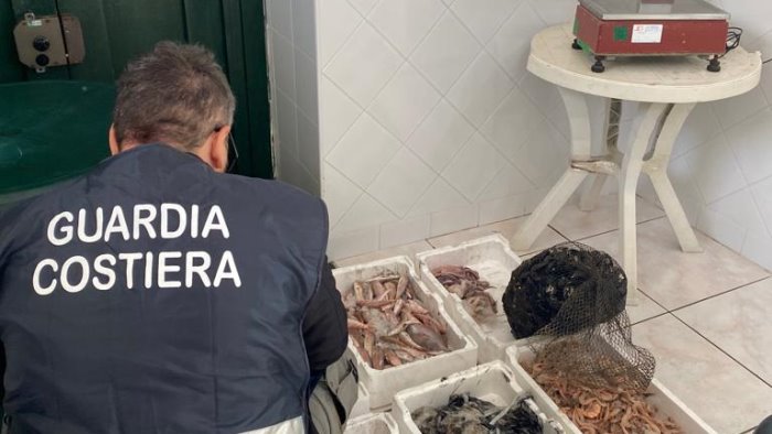 pesca illegale in cilento sequestrati 80kg di prodotti ittici