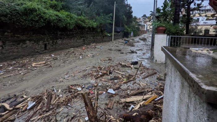 frana di ischia fango e detriti in mare a rischio l ecosistema marino