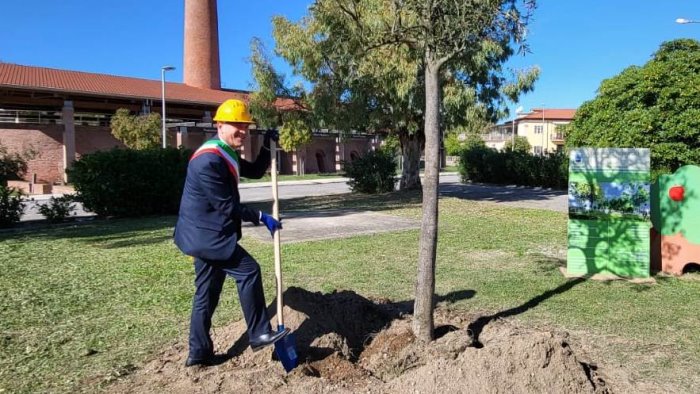 agropoli al via gli interventi di riqualificazione del parco bonifacio